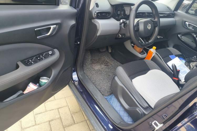 Used Leapmotor T03 2021 400 Lite Edition - Lithium-Ion Battery