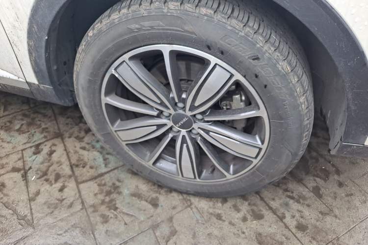 Used Haval H6 2021 1.5T Automatic Champion Edition