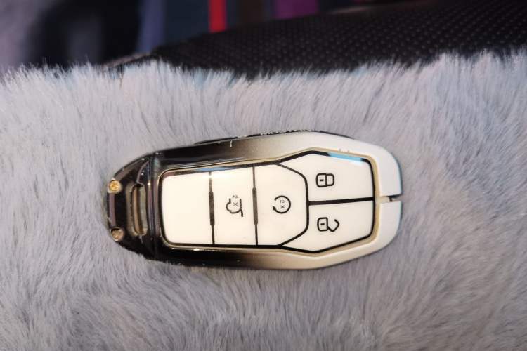 Used Ford Mustang 2017 2.3T Performance Edition