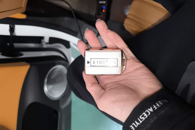 Used Tank 500 New Energy 2025 Hi4-Z Interior 1