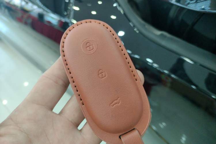 Used Li Auto L9 2023 Pro Model