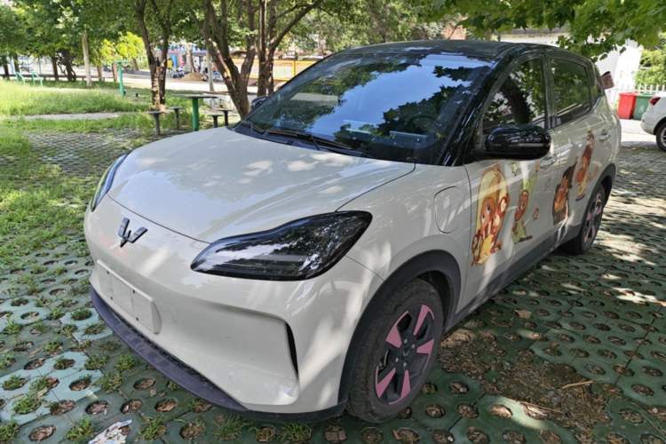 Used Wuling Bingo PLUS 2024 330 km Range Five-Seater Version