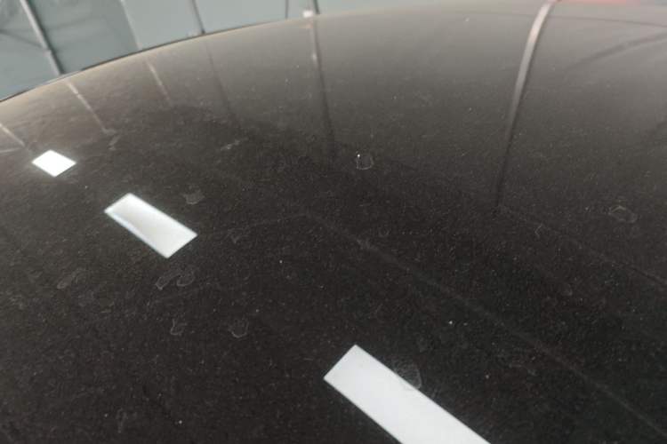 Used Tesla Model Y 2024 Rear-Wheel-Drive Version Roof