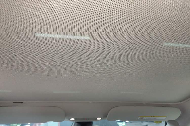 Used Tesla Model 3 2022 Rear-Wheel-Drive Version Headliner