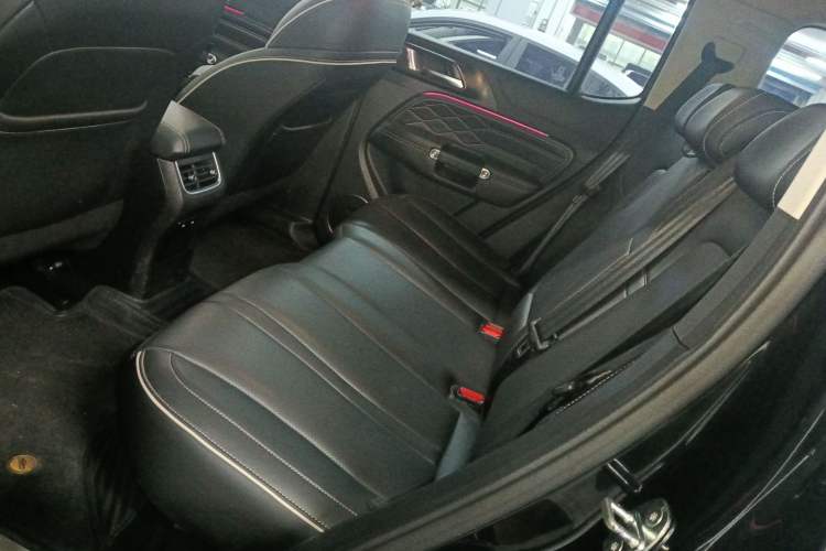 Used Tank 300 2023 Off-Road Edition 2.0T Conqueror Left Rear Seat