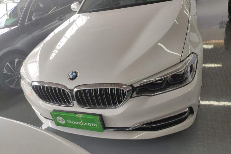 Used BMW 5 Series 2020 530Li Luxury Edition Premium Package
