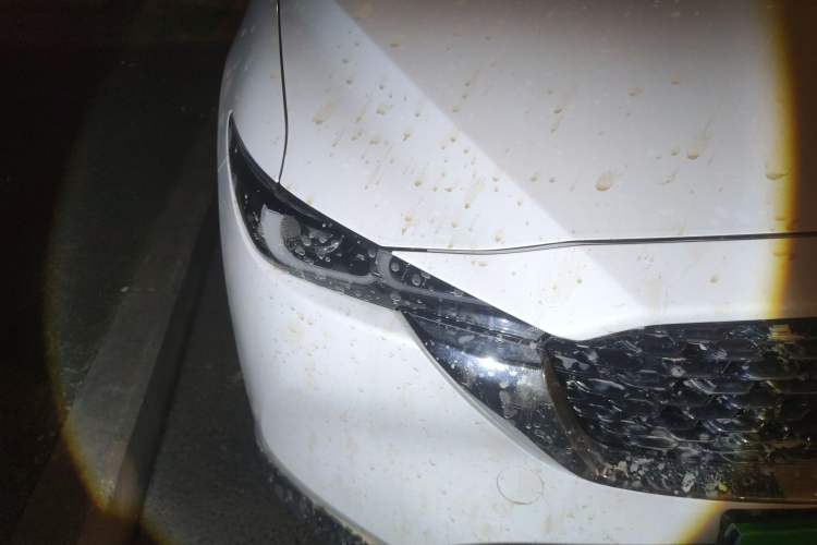 Used Mazda CX-5 2024 2.0L Automatic Two-Wheel Drive Comfort Version