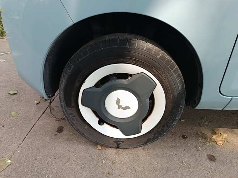 Used Wuling Hongguang MINIEV 2022 Easy Version Lithium Iron Phosphate — 22