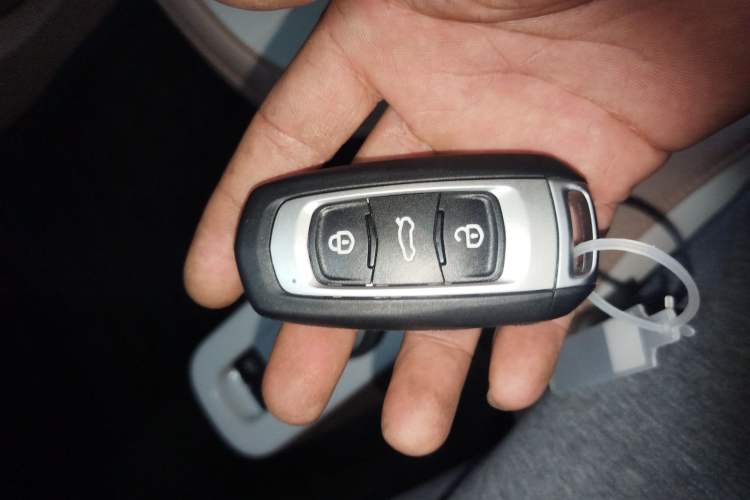 Used Geely Galaxy Panda 2024 Panda Mini 200km Endurance Bear
