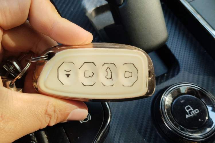 Used Haval H Dog 2023 2.0T Two-Wheel Drive Trendy Outdoor Edition
