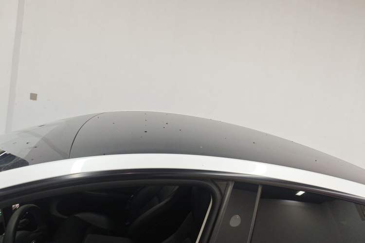 Used Tesla Model Y 2024 Rear-Wheel-Drive Version Roof