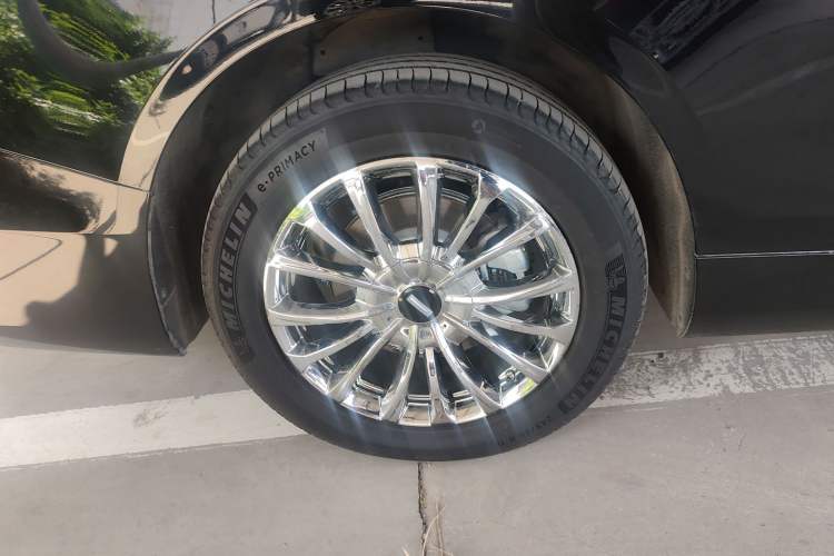 Used Wey Gaoshan 2023 Four-Wheel-Drive Executive Extended Version Exterior 5