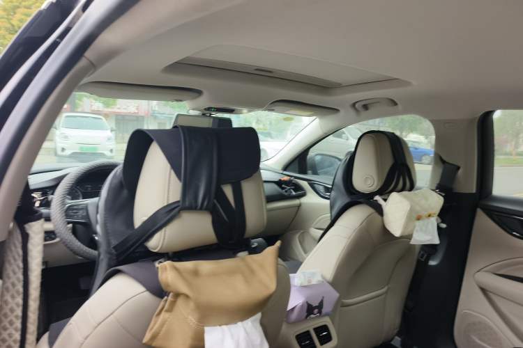 Used Buick Regal 2020 552T Elite Edition Headliner