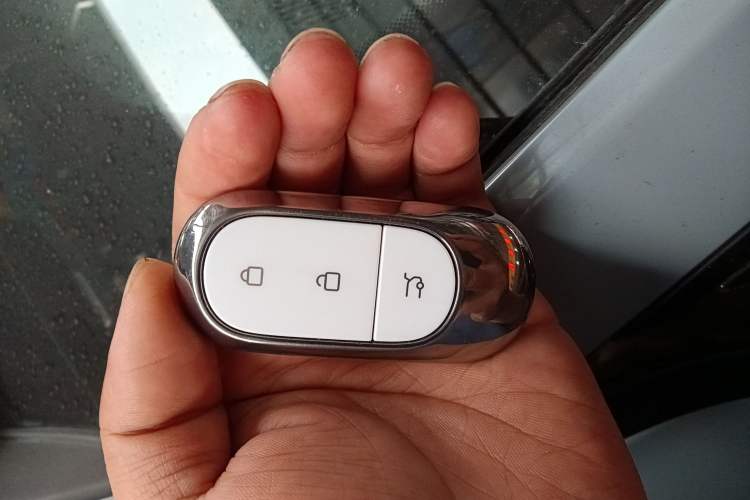 Used Leapmotor C01 2024 Pure Electric 525 Luxury Edition
