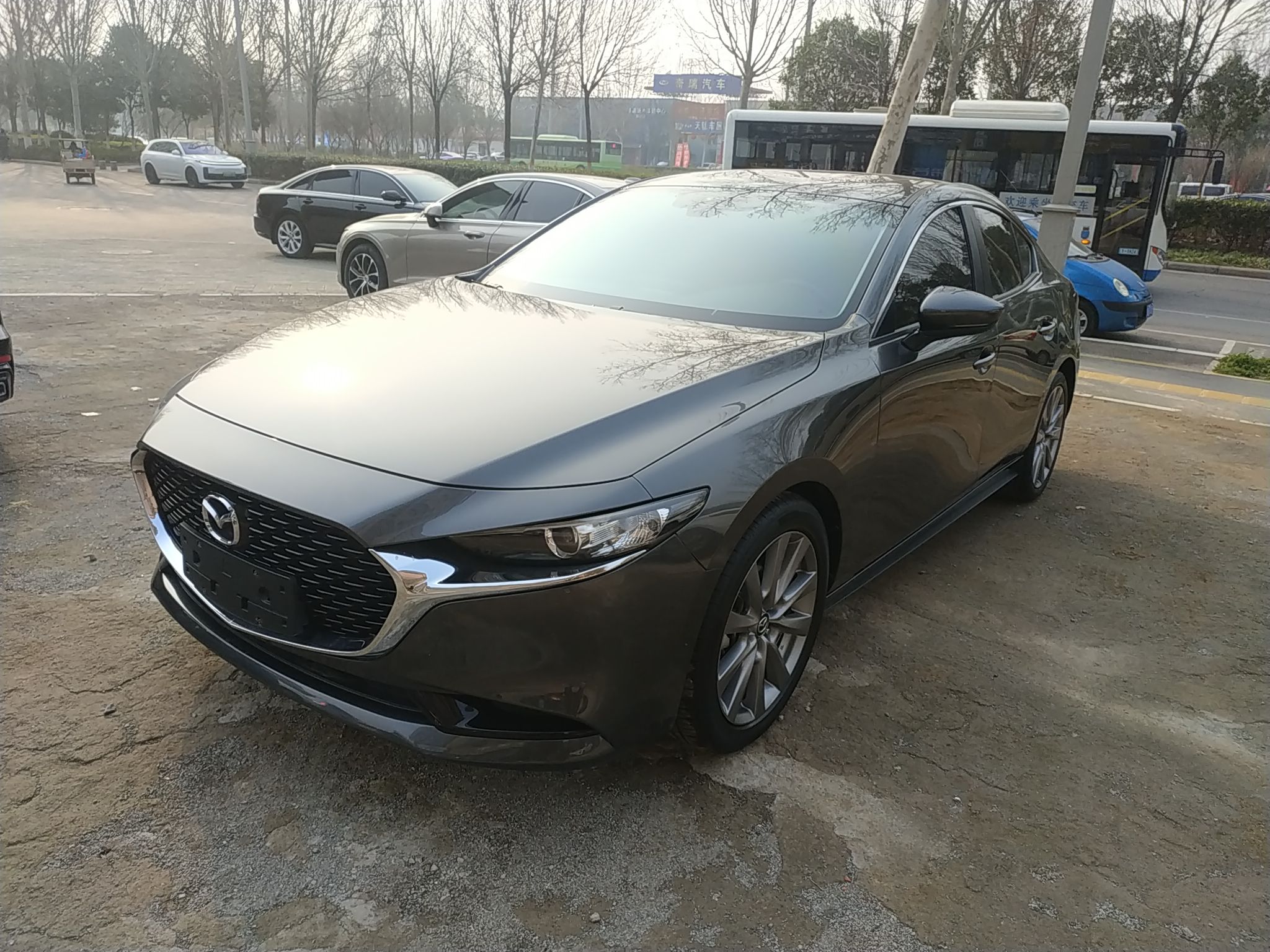 Parte inferior delantera