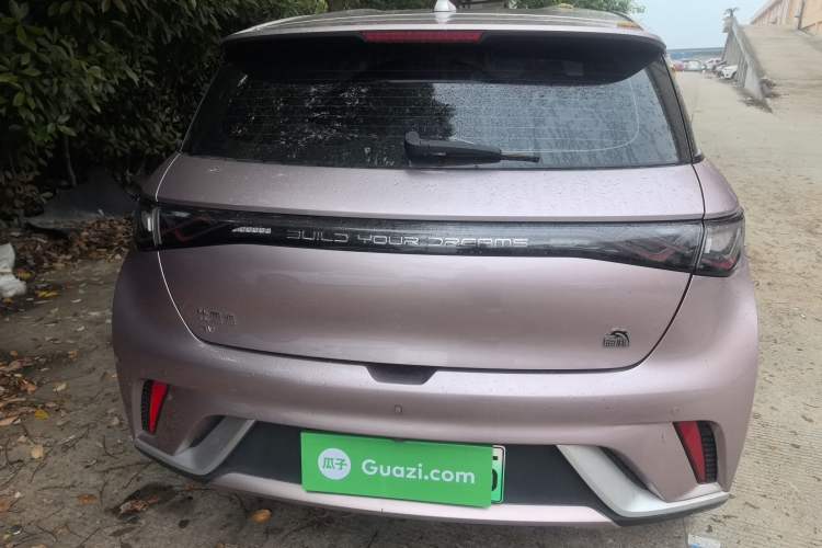 Used BYD Dolphin 2023 420 km Free Version Rear