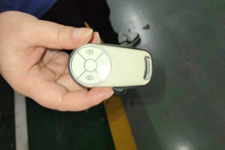 Used ORA Good Cat 2023 401 km Standard Range Prestige Version Lithium Iron Phosphate Vehicle Key