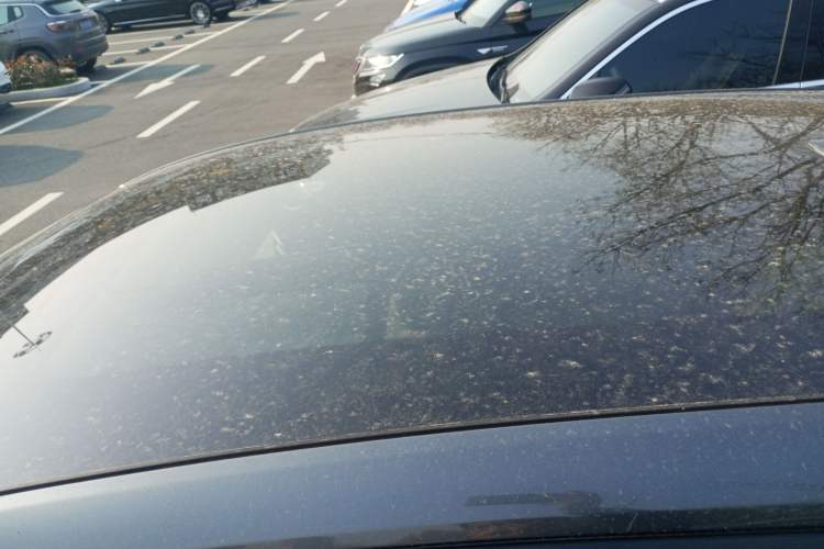 Used Changan UNI-T 2023 Second-Generation 1.5T Prestige Model
