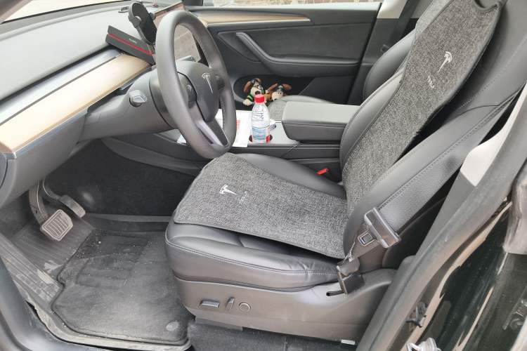 Used Tesla Model Y 2021 Standard Range Rear-Wheel Drive Version
