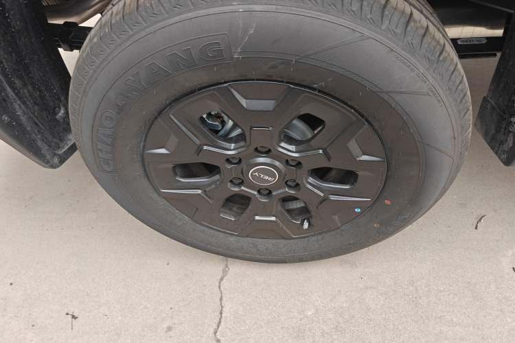 Used RELY Venucia R08 2025 Model 2.3T 6MT 2WD Diesel Long Box Exclusive Edition Exterior 5