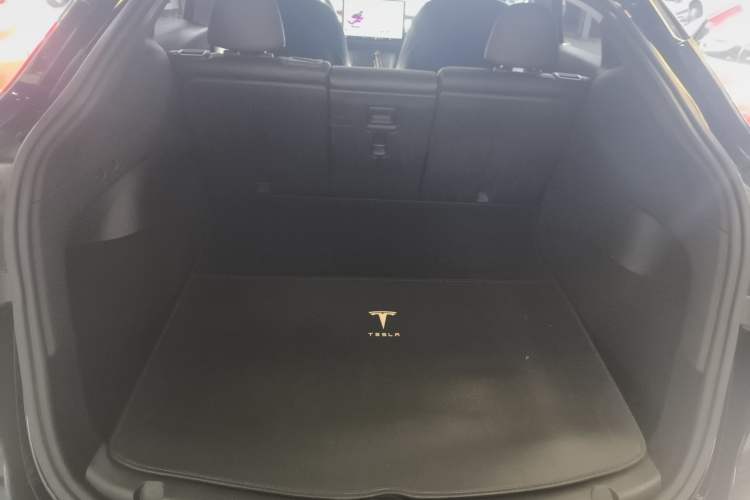 Used Tesla Model Y 2021 Standard Range Rear-Wheel Drive Version