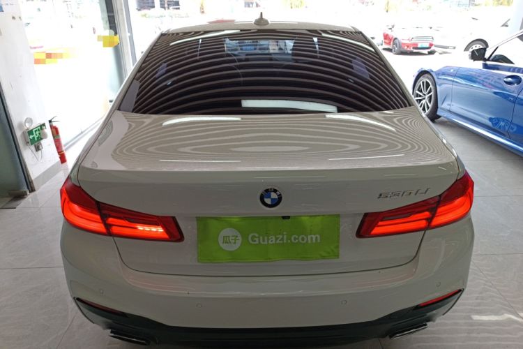 Used BMW 5 Series 2019 530Li Leading Model M Sport Package