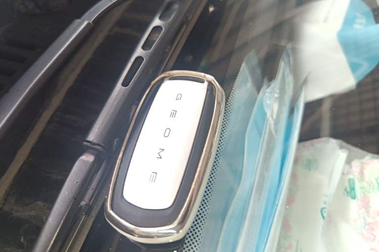 Used Geely Galaxy Panda 2024 Panda Mini 200km Endurance Bear Interior 1