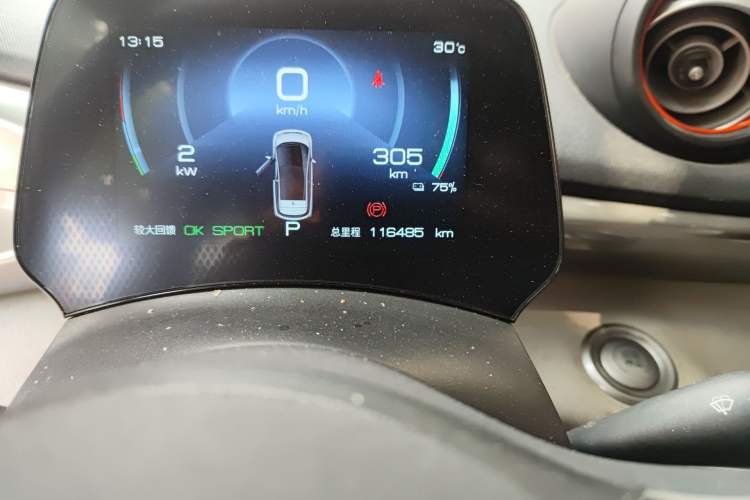 Used BYD Dolphin 2021 405 km Free Version Odometer Close Up