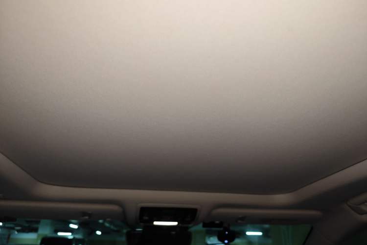 Used Lexus RX 2020 450h Four-Wheel Drive Luxury Edition China VI Standard Headliner