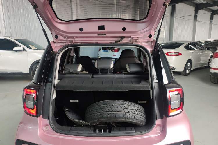 Used SOL E10X 2022 Flower Fairy Design Four-Leaf Clover Trunk