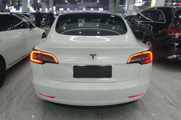 Used Tesla Model 3 2020 Standard Range Rear-Wheel Drive Upgraded Version