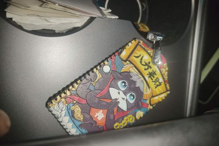 Used Tesla Model 3 2022 Rear-Wheel-Drive Version Vehicle Key