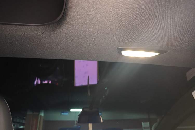 Used Tesla Model X 2017 X 100D Long Range Edition Headliner