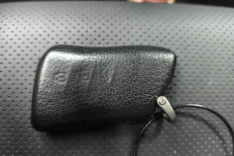 Used Lexus UX New Energy 2020 300e Pure·Joy Edition