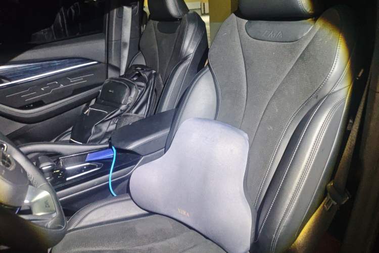 Used Geely Auto Monjaro L 2024 2.0TD High-Power Automatic Two-Wheel Drive Skyline Edition Left Front Seat