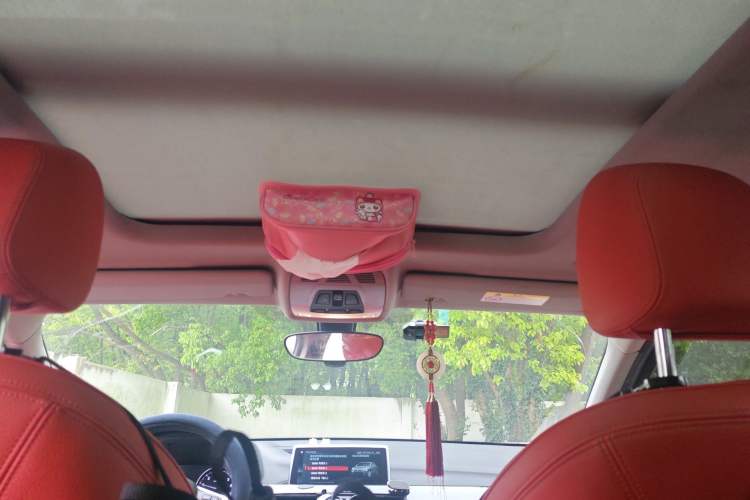 Used BMW X2 2020 sDrive20i M Sport Package Headliner