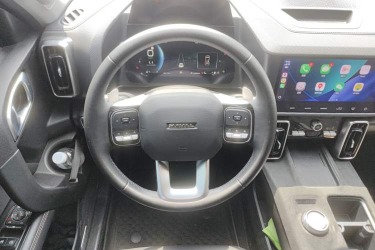 Used Haval DARGO 2024 2.0T DCT Chinese Rural Dog Edition