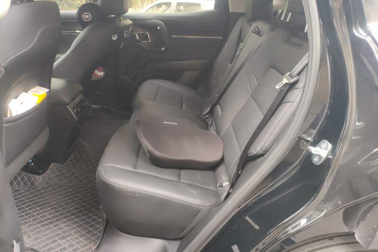 Used Haval H Dog 2023 1.5T Two-Wheel Drive Chao Ye Version Plus