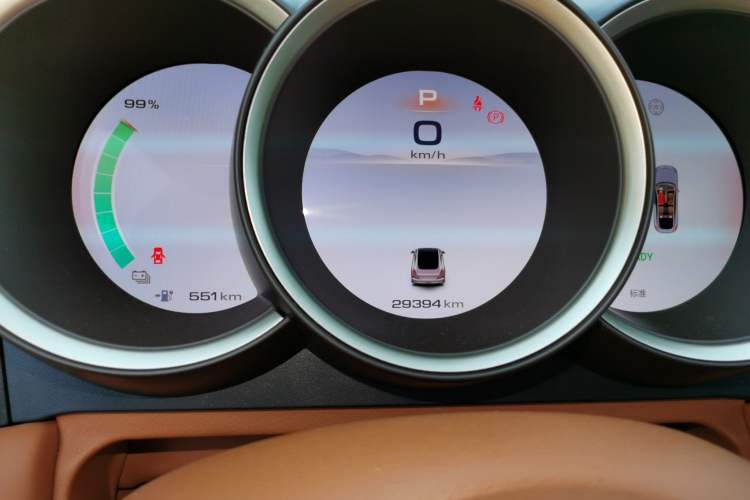 Used ORA Lightning Cat 2022 555 km Luxury Edition
