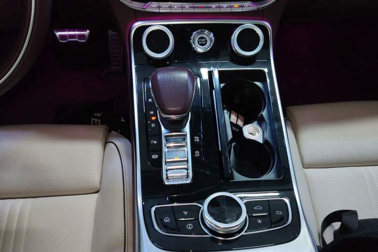 Used Hongqi H9 2020 3.0T Smart Connect Flagship Four-Seat Version
