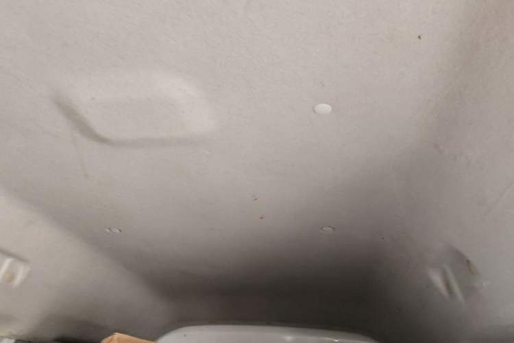 Used Karry Youyou EV 2021 Van Model SQR5037 Headliner