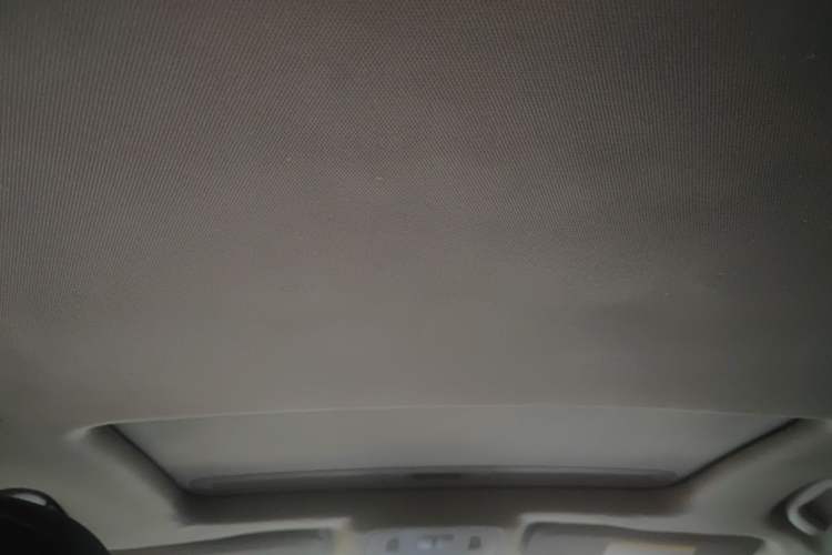 Used Buick Regal 2014 GS 2.0T Passionate Sport Edition Headliner