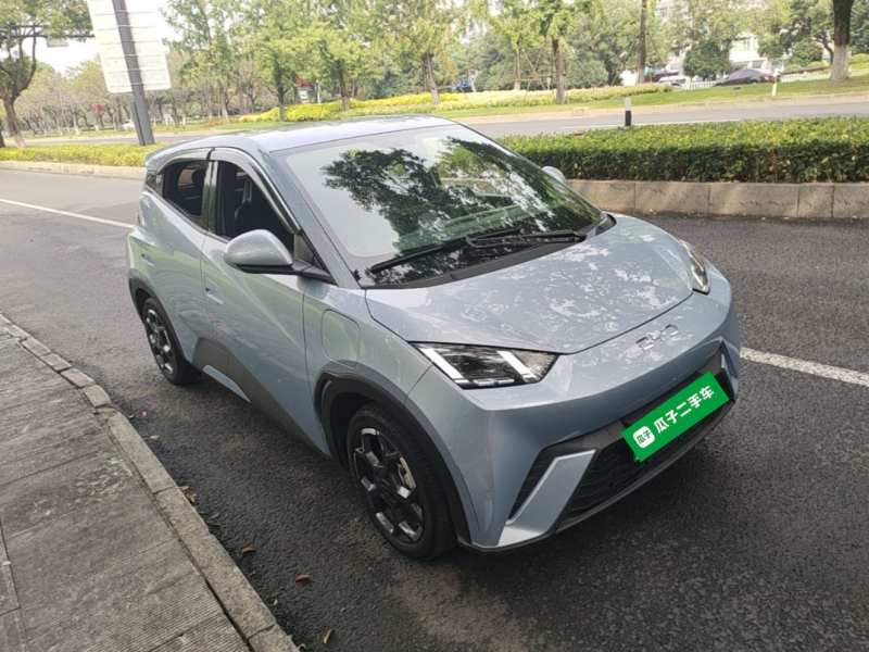 Used BYD Seagull 2024 Honor Edition 305km Freedom Version — 3
