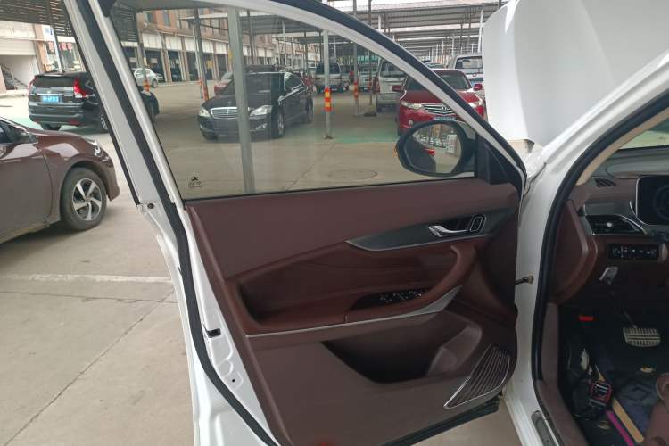 Used Leopaard Mattu 2018 1.6T GDI DCT Comfort Model Left Front Door Interior