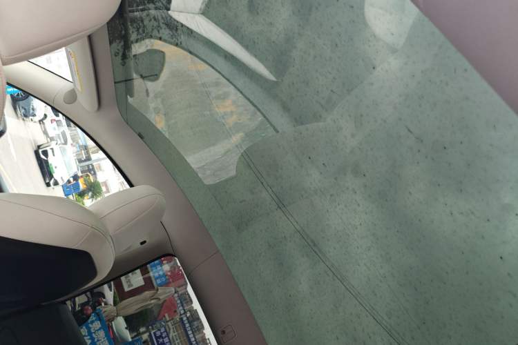 Used Tesla Model Y 2021 Standard Range Rear-Wheel Drive Version Headliner