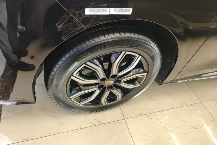 Used Hongqi HQ9 2023 2.0T Smart Connect Flagship Edition