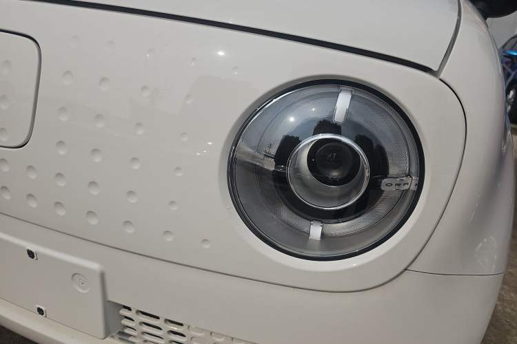 Used ORA Black Cat 2021 351 km Standard Version
