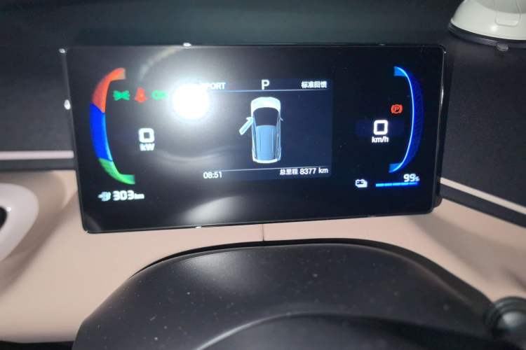 Used BYD Seagull 2024 Honor Edition 305km Freedom Version Odometer Close Up