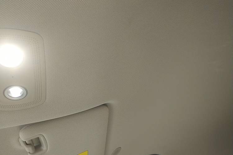 Used BYD Yuan UP 2024 301KM Leading Edition Headliner