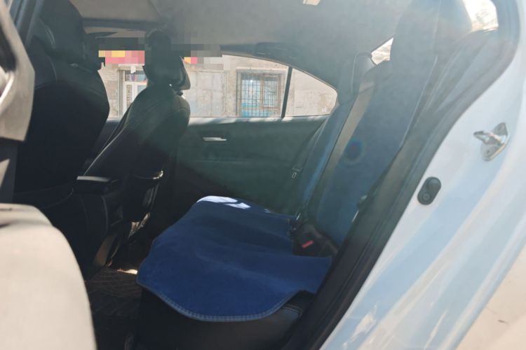 Used Toyota Levin 2019 185T CVT Luxury Edition China VI Standard
